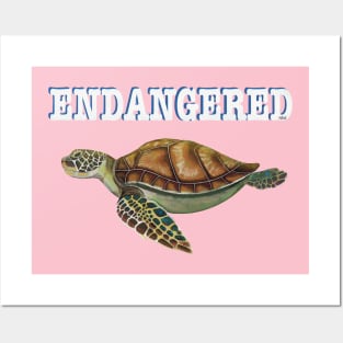 Endangered Sea Turtle Posters and Art